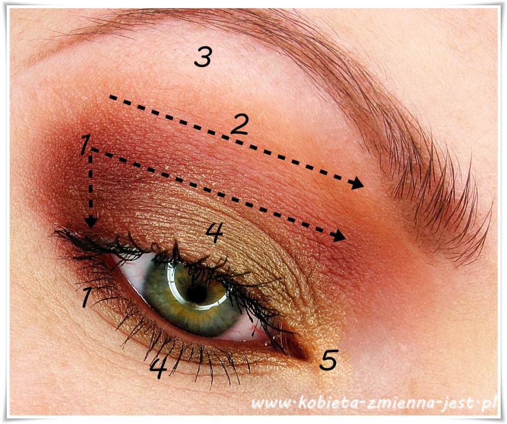 makijaż makeup step by step makeupblogger blog wojskowa zieleń brąz jak wykonać makijaż